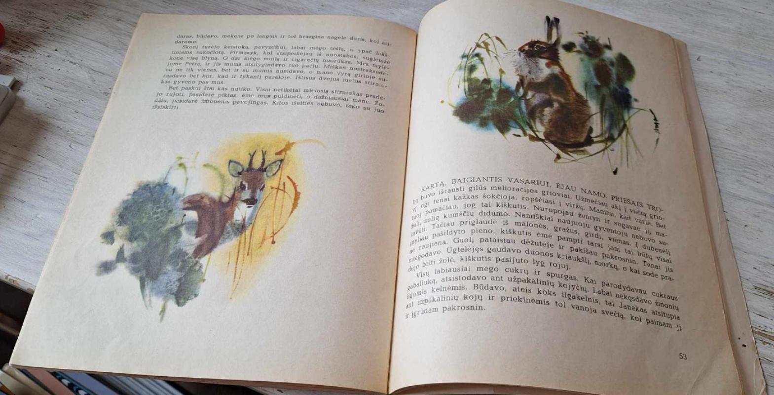 Pašnekesiai ant suolelio - Donatas Šaineris, knyga 4