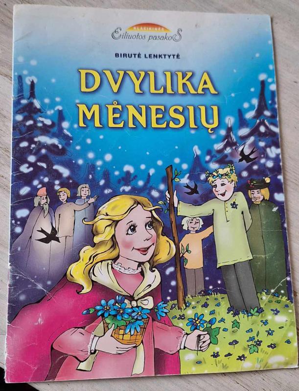 Dvylika mėnesių - Birutė Lenktytė, knyga 2