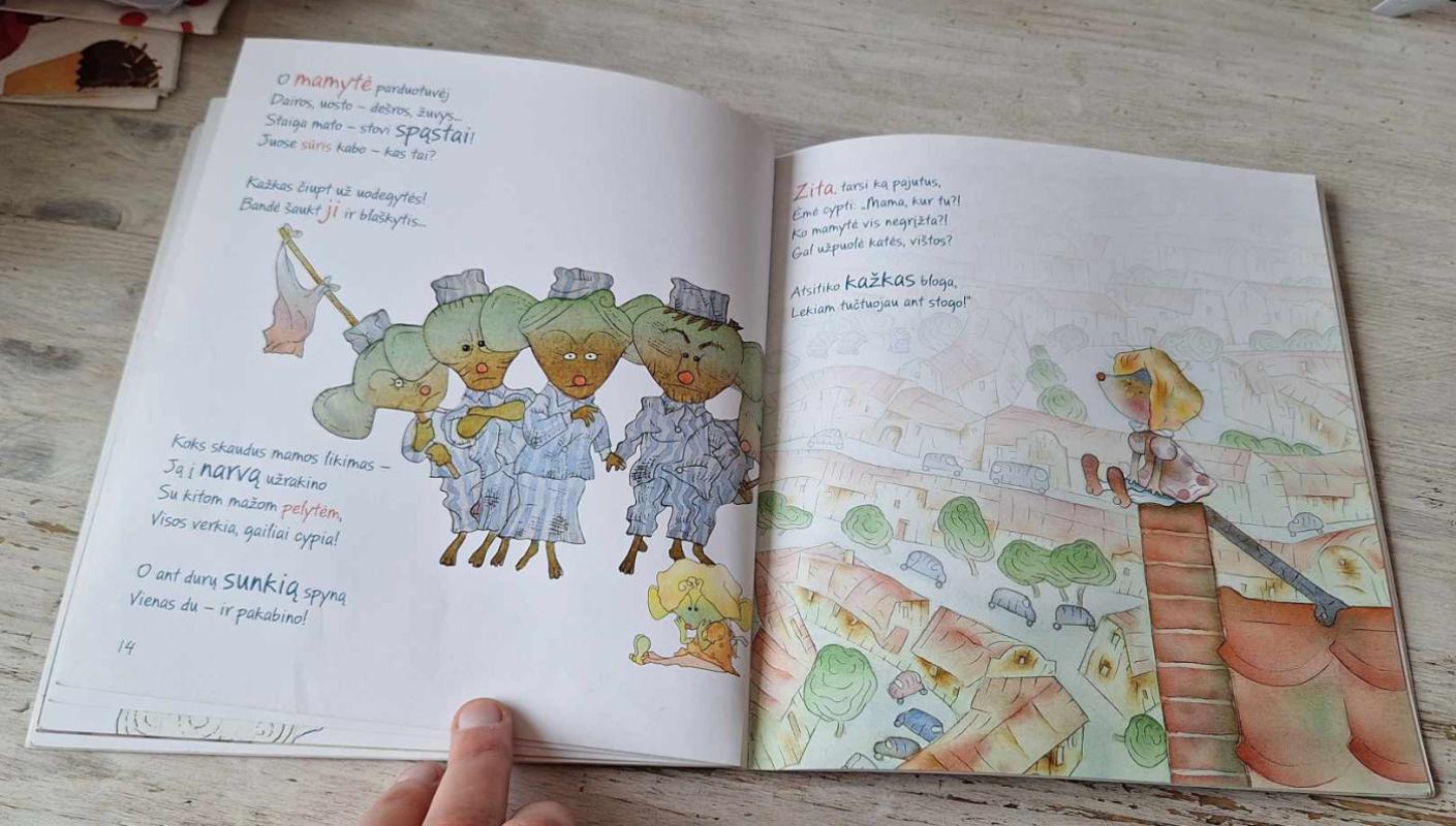 Kaip Zita išgelbėjo mamytę - Vytautas Landsbergis, knyga 5