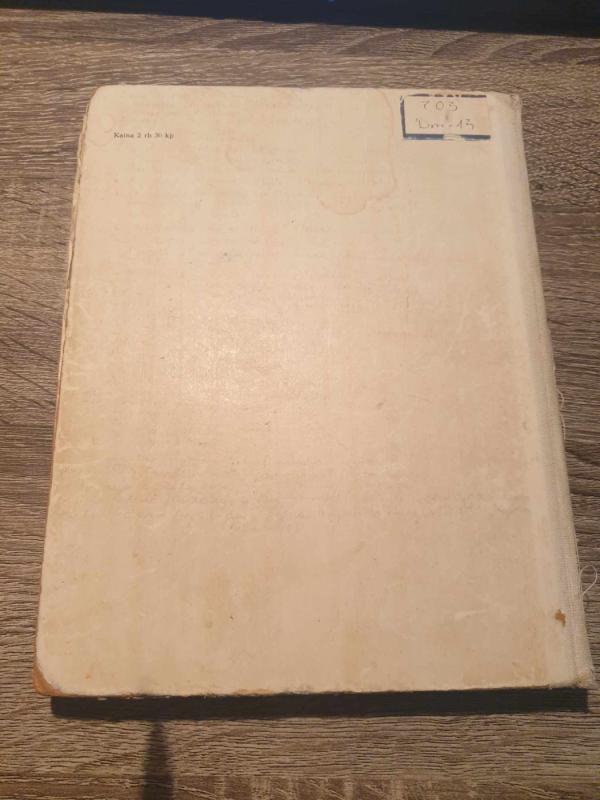 Trumpa dailės istorija - Nina Dmitrijeva, knyga 6