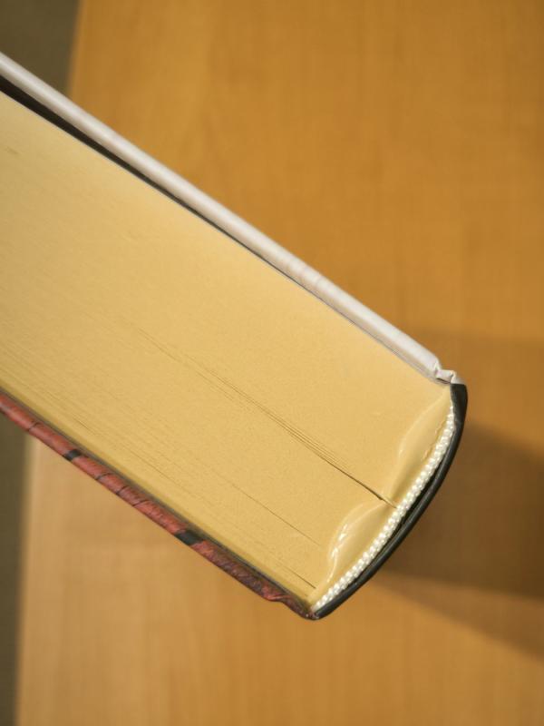 Akiratis - Wieslaw Mysliwski, knyga 4