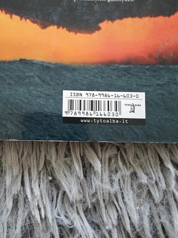 Žarijų duobės - Raimundas Milašiūnas, knyga 3