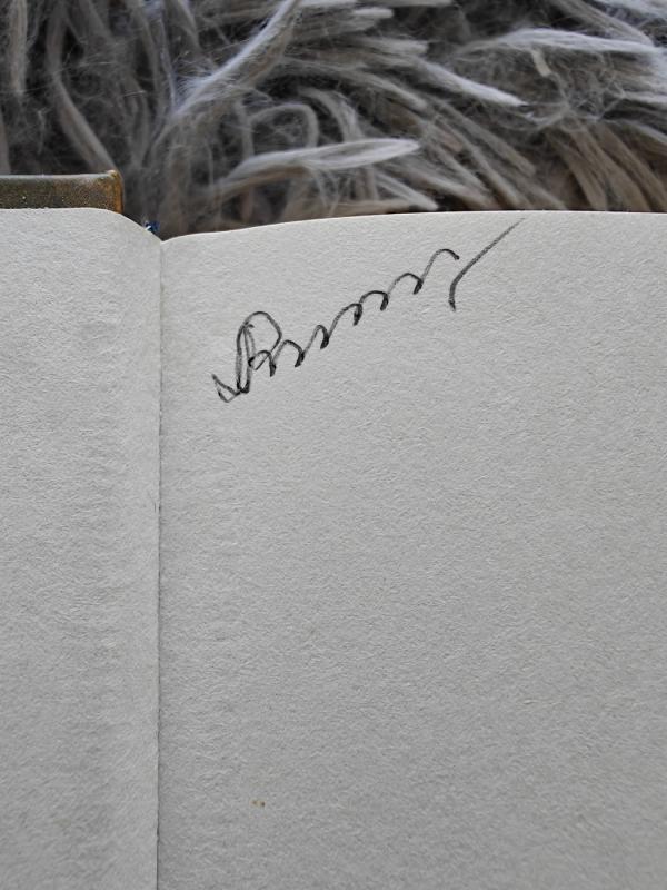 Ramybės jūra - Katja Millay, knyga 3