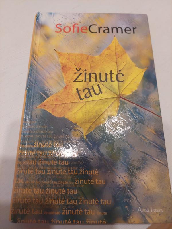 Žinutė tau - Sofie Cramer, knyga 2