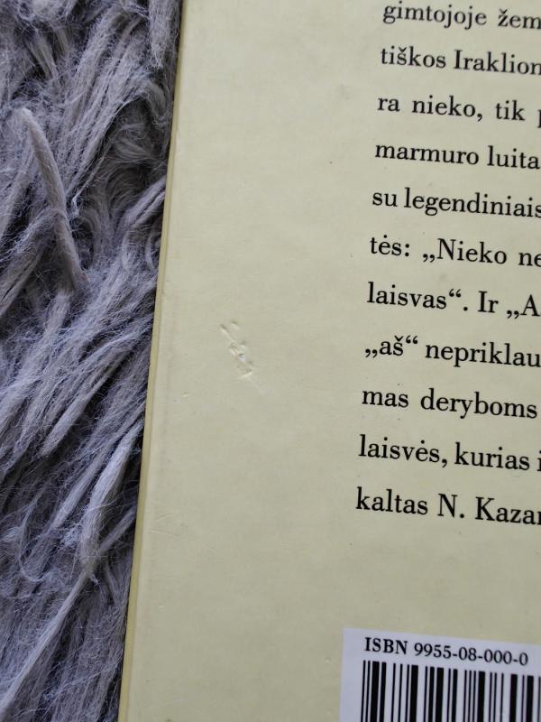 Asketika: Salvatores Dei - Nikos Kazantzakis, knyga 3