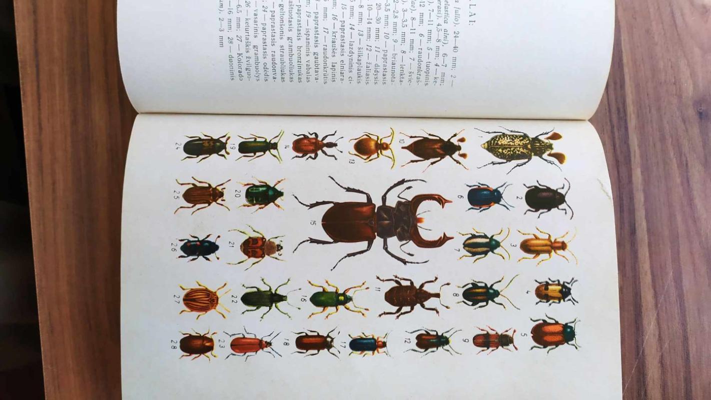 Vadovas Lietuvos vabzdžiams pažinti - A. Lešinskas, knyga 6