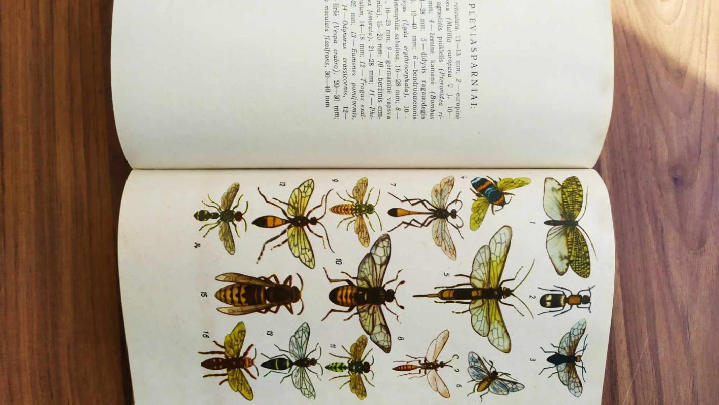 Vadovas Lietuvos vabzdžiams pažinti - A. Lešinskas, knyga 3