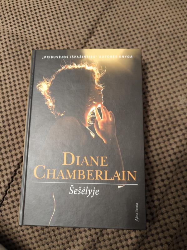 Šešėlyje - Diane Chamberlain, knyga 3