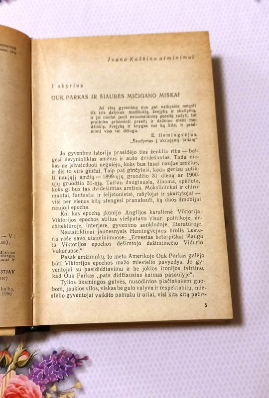 Hemingvėjus - Borisas Gribanovas, knyga 3