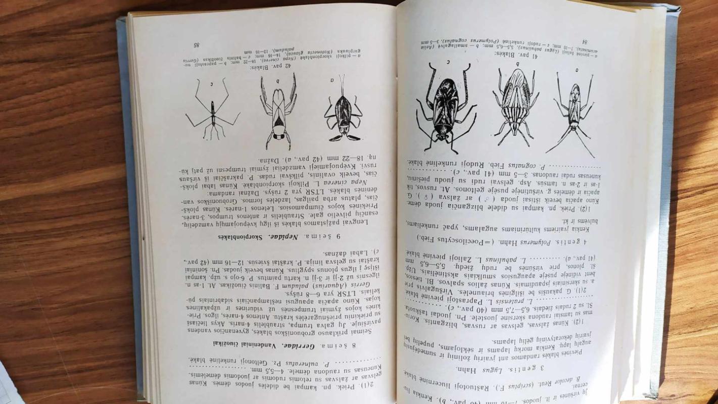 Vadovas Lietuvos vabzdžiams pažinti - A. Lešinskas, knyga 4