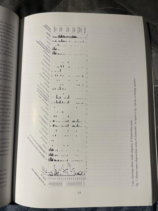 Kultūrinio landšafto raida Žemaičių aukštumoje - Marius Iršėnas, knyga 4