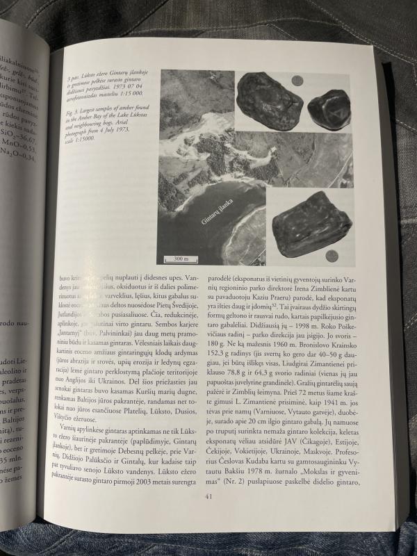 Kultūrinio landšafto raida Žemaičių aukštumoje - Marius Iršėnas, knyga 3