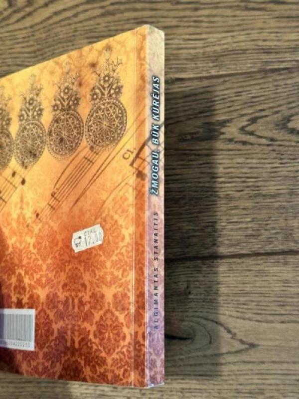 Žmogau, būk kūrėjas - Algimantas Stanaitis, knyga 6