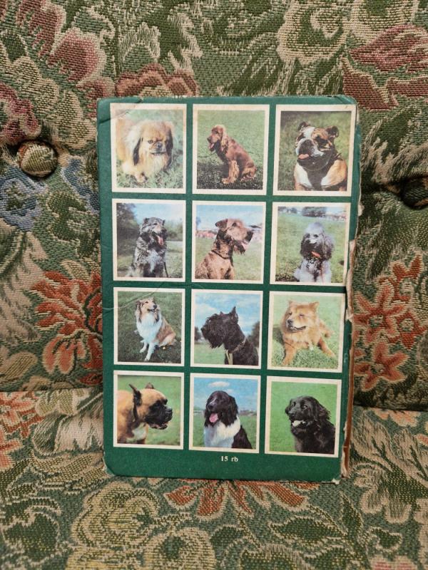 Tarnybinė ir dekoratyvinė šunininkystė - Karolis Masilionis, knyga 5