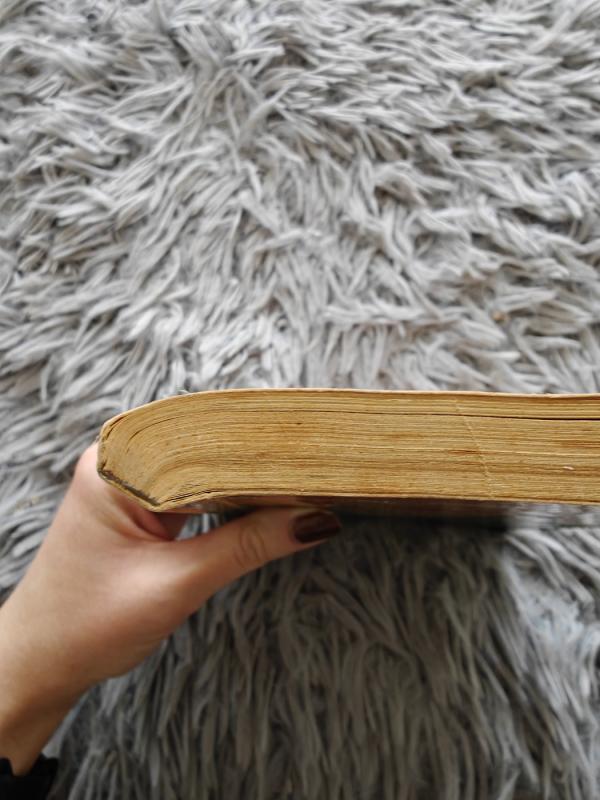 Lemingo metai (259) - Aleksandr Gromov, knyga 5