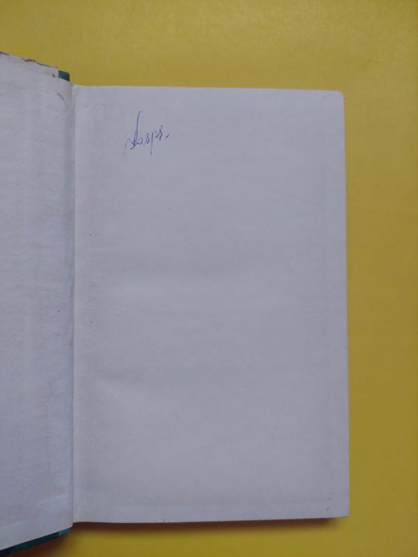 Didysis liūdesys - Bogomilas Rainovas, knyga 3