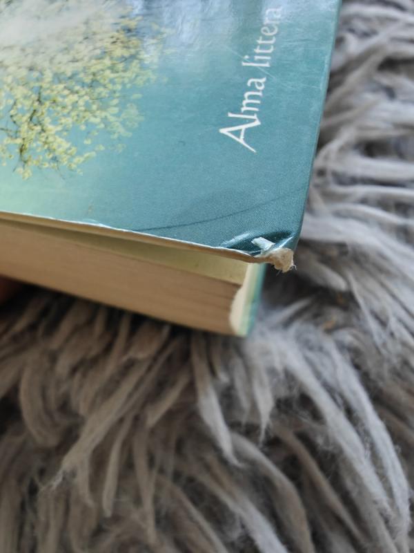 Raganų klubas - Meilė Jančorienė-Rinkevičiūtė, knyga 3