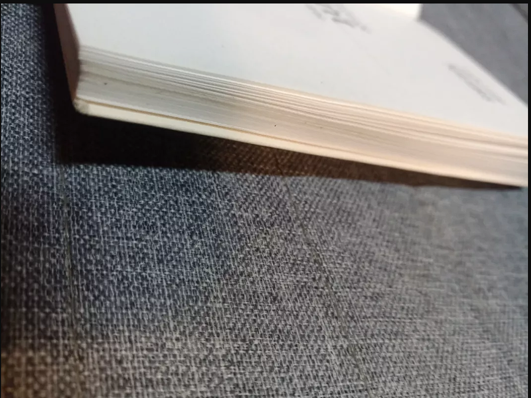 Erškėtrožė ant Santakos delno - Robertas Keturakis, knyga 6