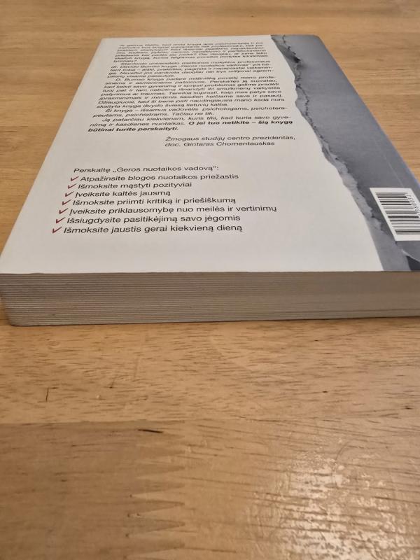 Geros nuotaikos vadovas. Nauja emocijų terapija - David D. Burns, knyga 2