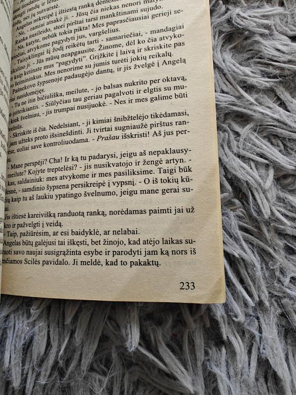 Kūnas ir sidabras - Stephen L. Burns, knyga 4