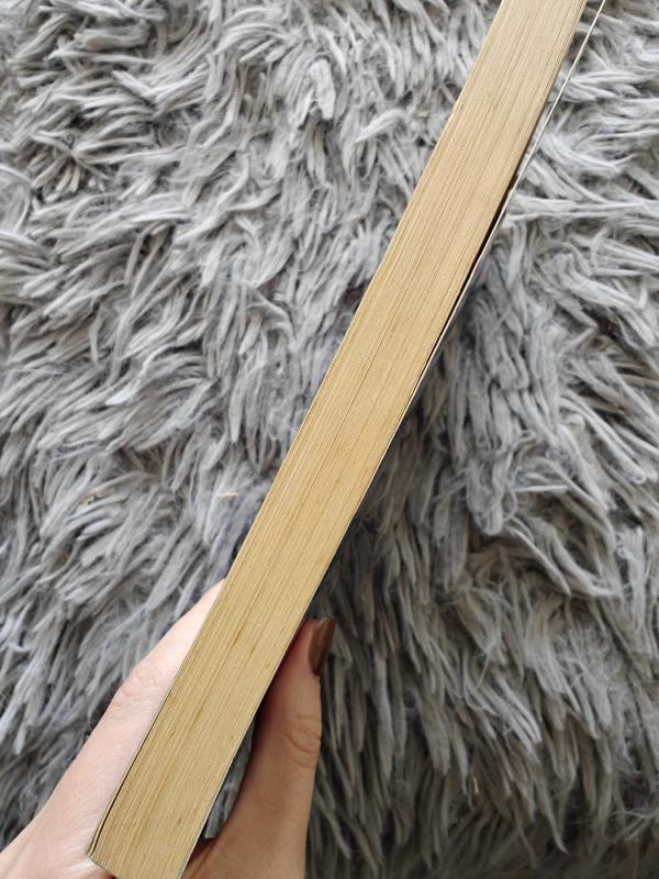 Bėgimas į Chaoso ištakas - Jack L. Chalker, knyga 4