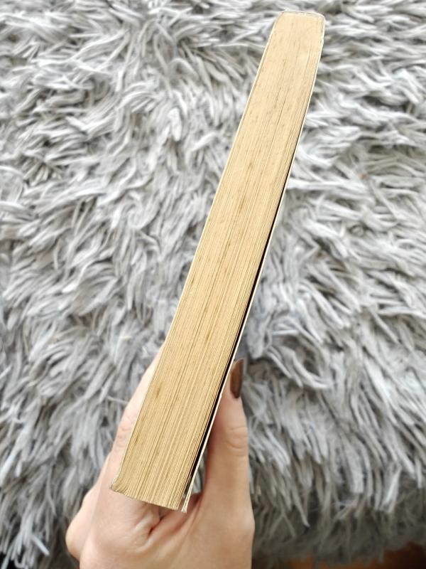 Bėgimas į Chaoso ištakas - Jack L. Chalker, knyga 3