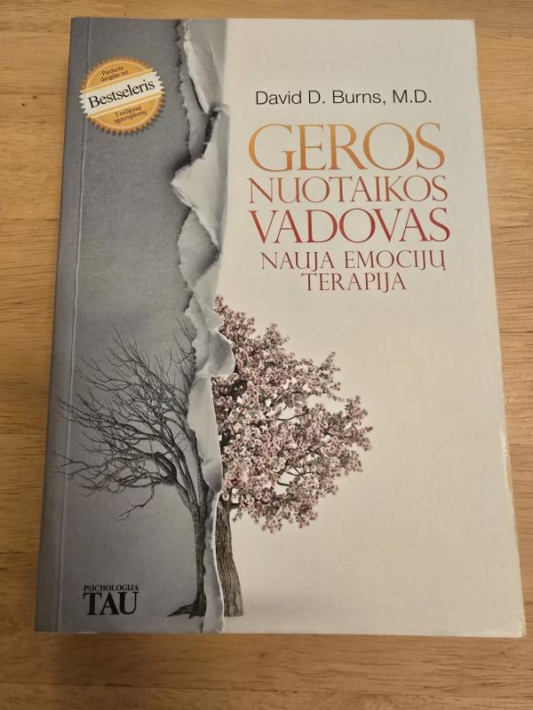 Geros nuotaikos vadovas. Nauja emocijų terapija - David D. Burns, knyga 5