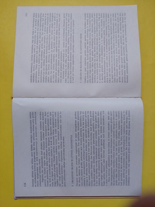 Estetika - Vosylius Sezemanas, knyga 5