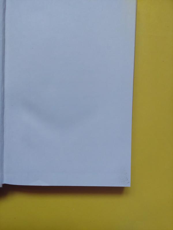 Esu žmonių vaikas - Vaiva Vaicekauskienė, knyga 5