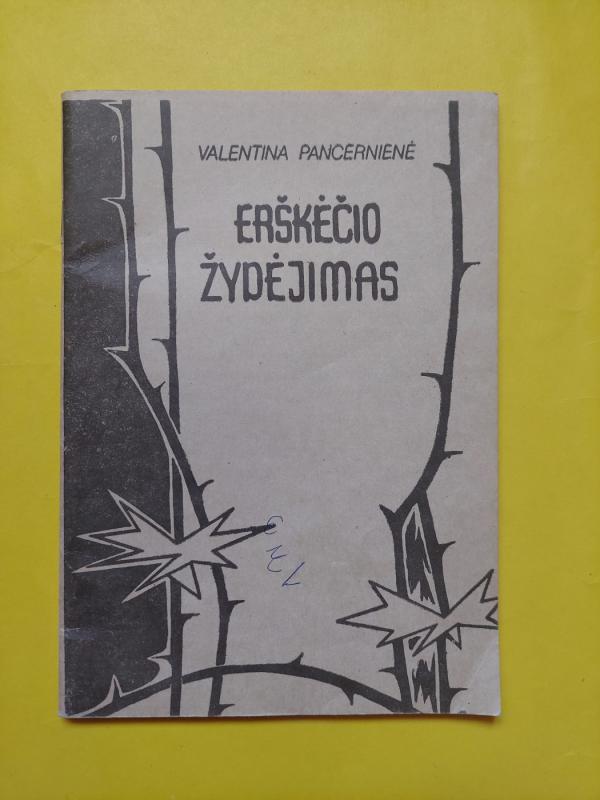 Erškėčio žydėjimas - Valentina Pancernienė, knyga 3