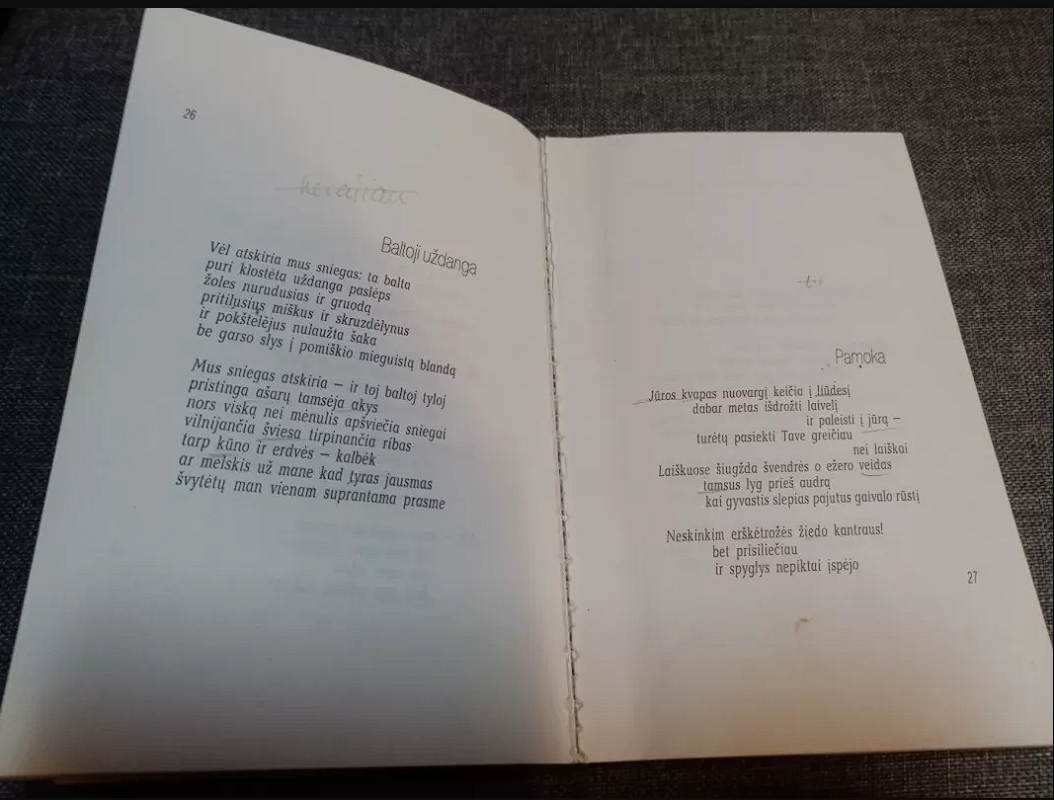 Erškėtrožė ant Santakos delno - Robertas Keturakis, knyga 4