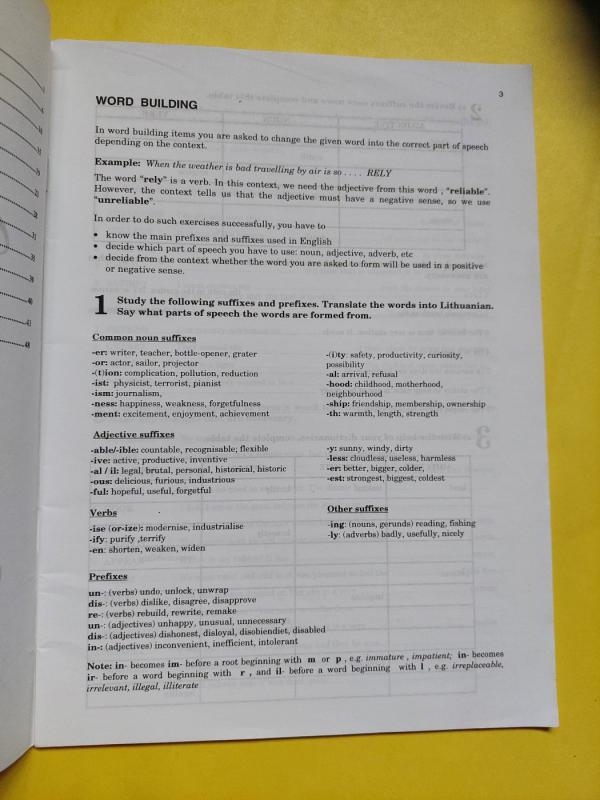 Exam techniques - Liuda Lenkauskienė, knyga 3