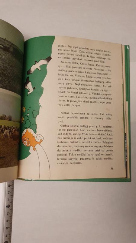 Prie Nemuno rytas - Jonas Biliūnas, knyga 3