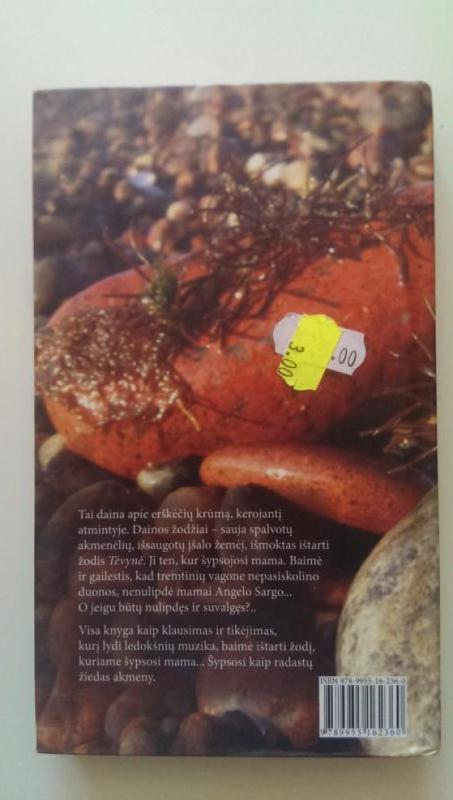 Erškėčių krūmas pamariuos - Mykolas Karčiauskas, knyga 5