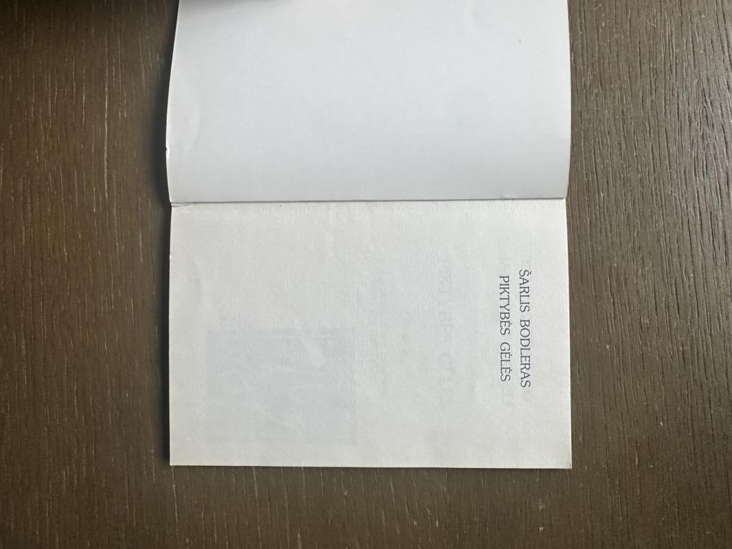 Piktybės gėlės - Šarlis Bodleras, knyga 5