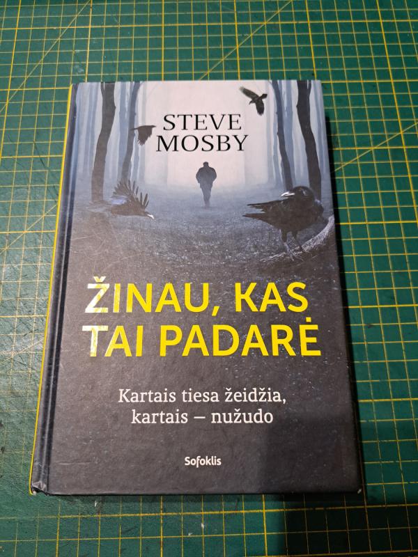 Žinau, kas tai padarė - Steve Mosby, knyga 2