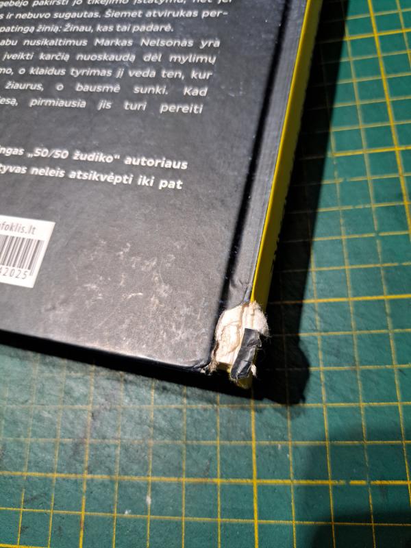 Žinau, kas tai padarė - Steve Mosby, knyga 3