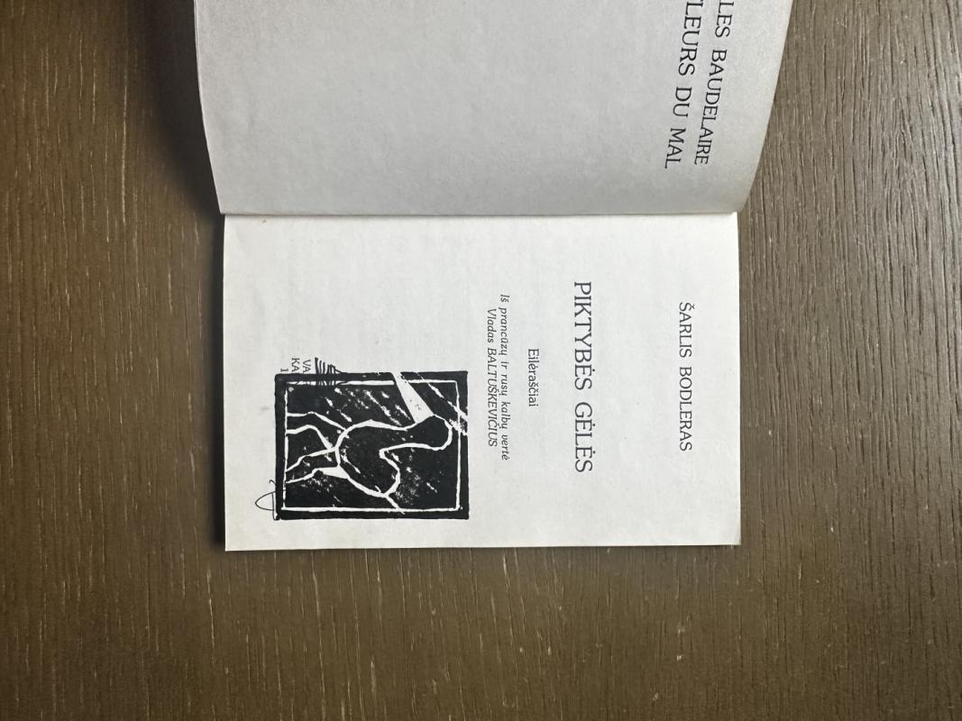 Piktybės gėlės - Šarlis Bodleras, knyga 4