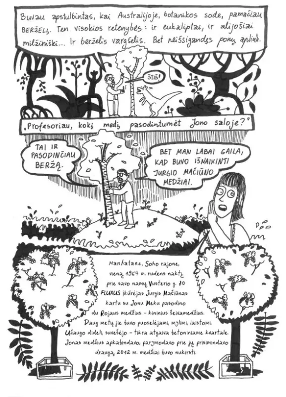 Meko sodas: Apie Joną Meką, įkvėpimus ir plast - Jurga Vilė, knyga 5