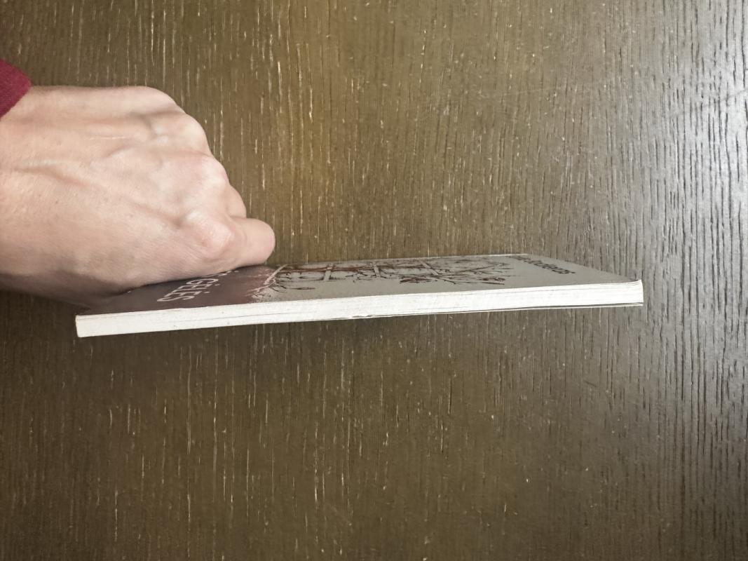 Piktybės gėlės - Šarlis Bodleras, knyga 6