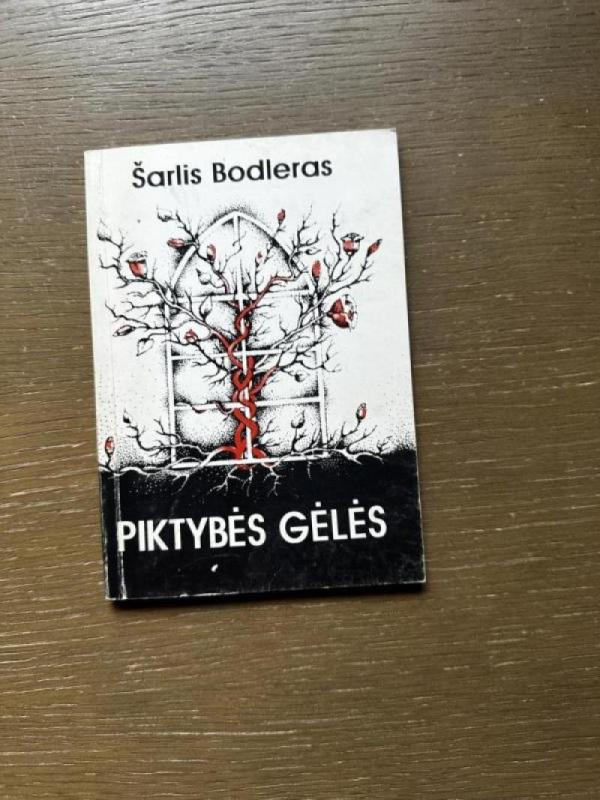 Piktybės gėlės - Šarlis Bodleras, knyga 2