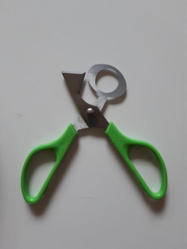 Žirklutės putpelių kiaušiniams - , namai ir interjeras 3