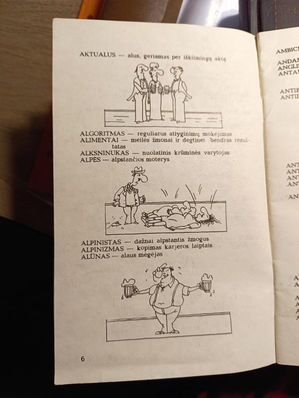 Linksmasis žodynėlis - Autorių Kolektyvas, knyga 6
