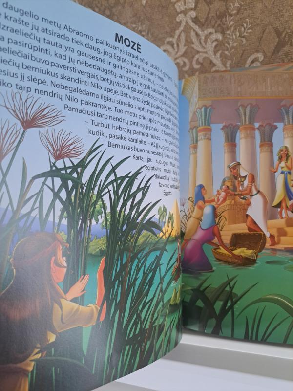 Biblijos skaitiniai vaikams - Silvia Alonso, knyga 5