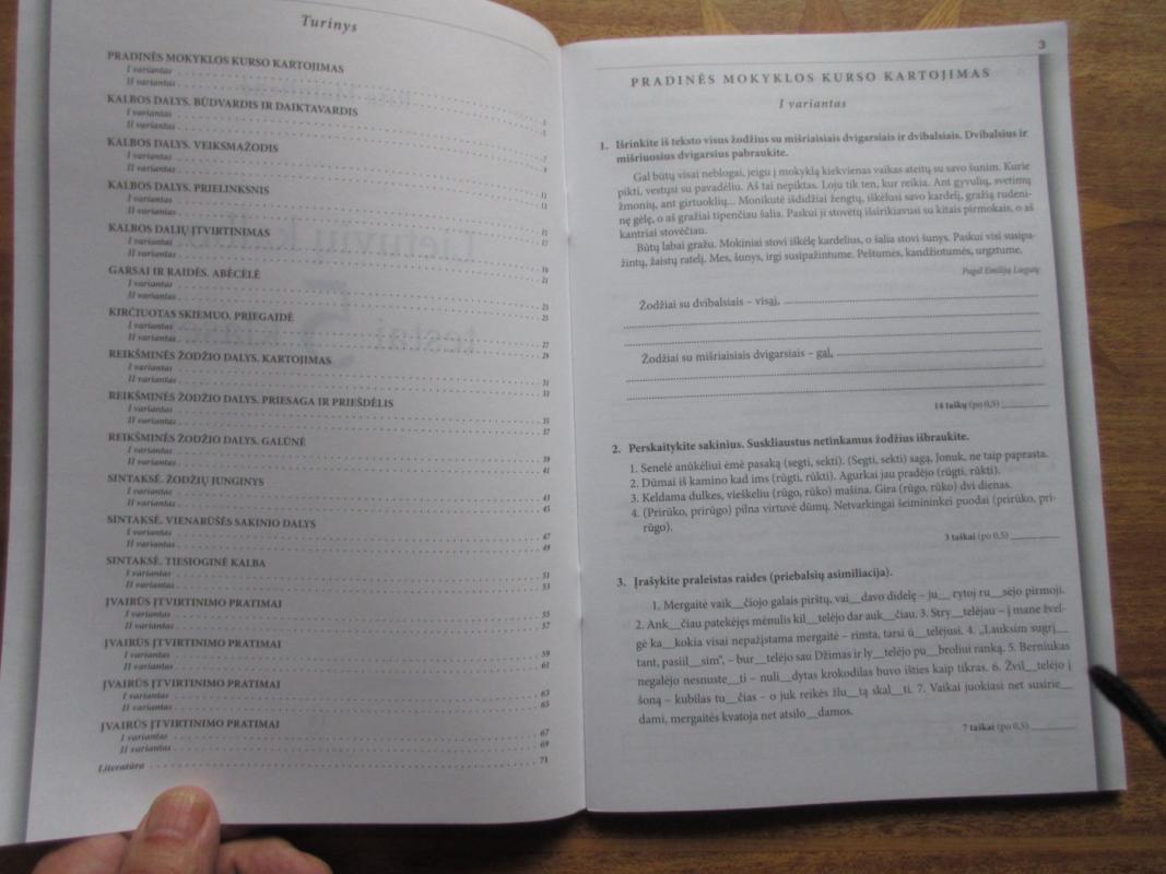 Lietuvių kalbos testai 5 klasei - Rita Matulienė, knyga 3