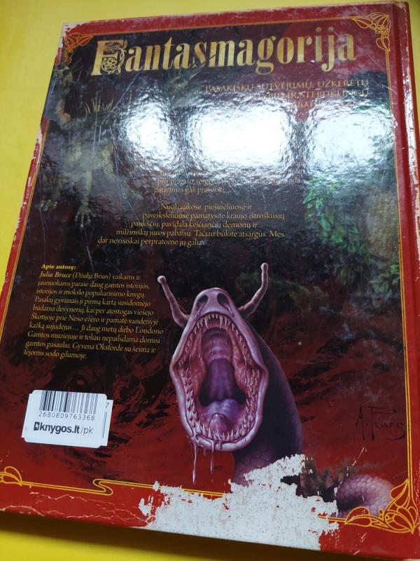 Fantasmagorija - Julia Bruce, knyga 3