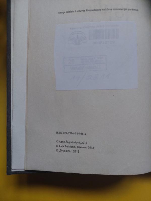 Eigulio duktė: byla 117 - Agnė Žagrakalytė, knyga 4