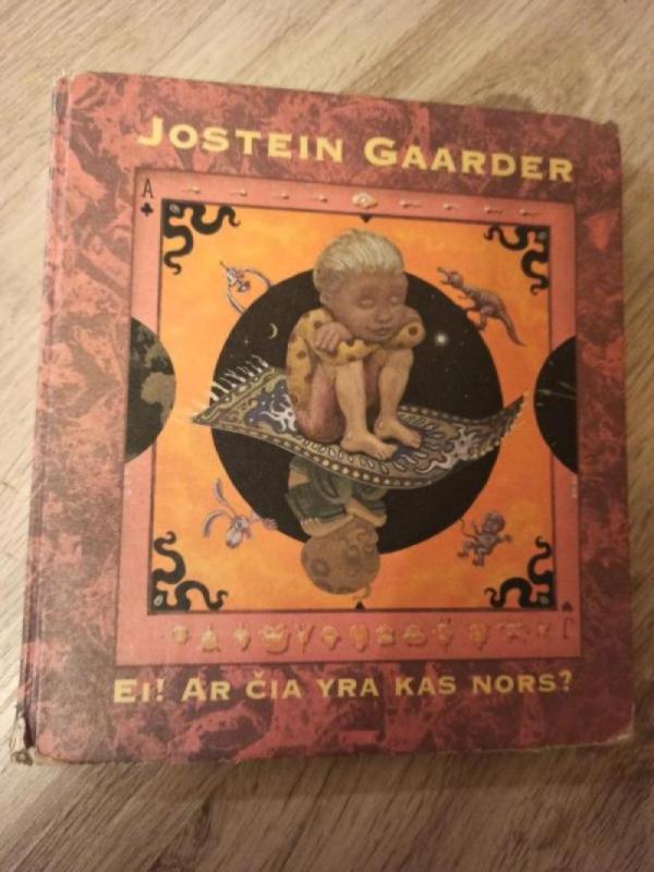 Ei! Ar čia yra kas nors? - Jostein Gaarder, knyga 2