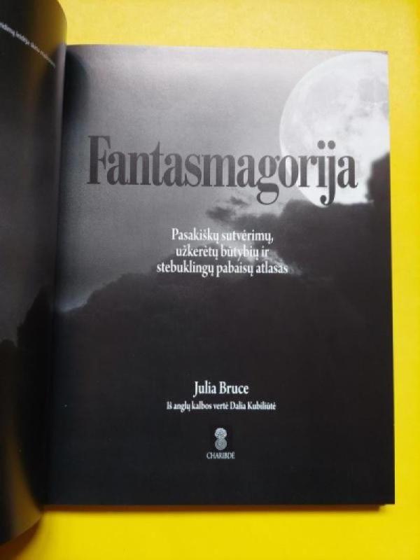 Fantasmagorija - Julia Bruce, knyga 5