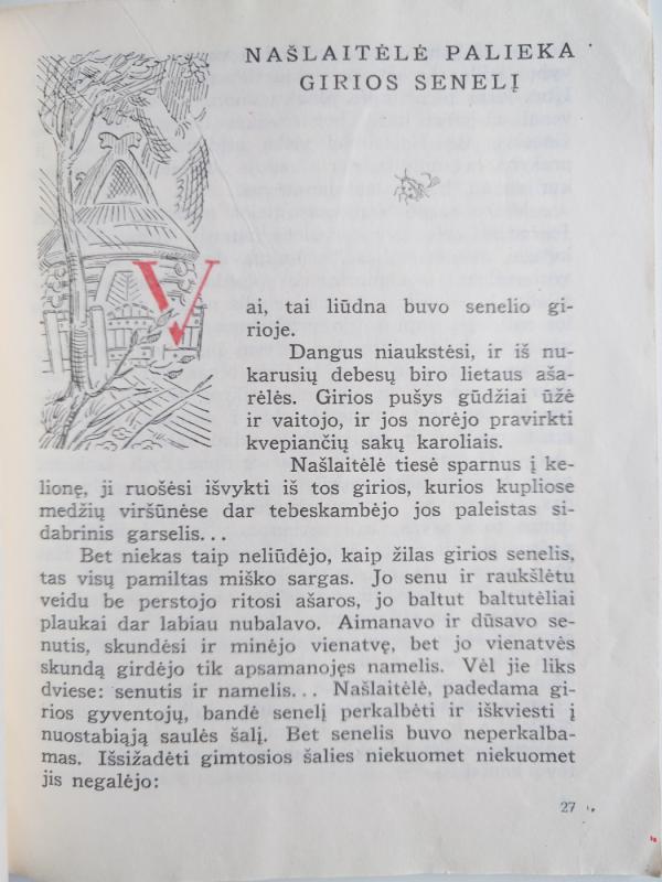 Našlaitėlė - Petras Rimkūnas, knyga 3